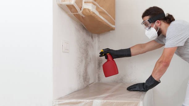 Professional Mold Removal technician working in Winburne, PA